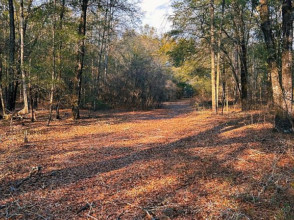 3rd image of 0 Lovely Grove Church Rd