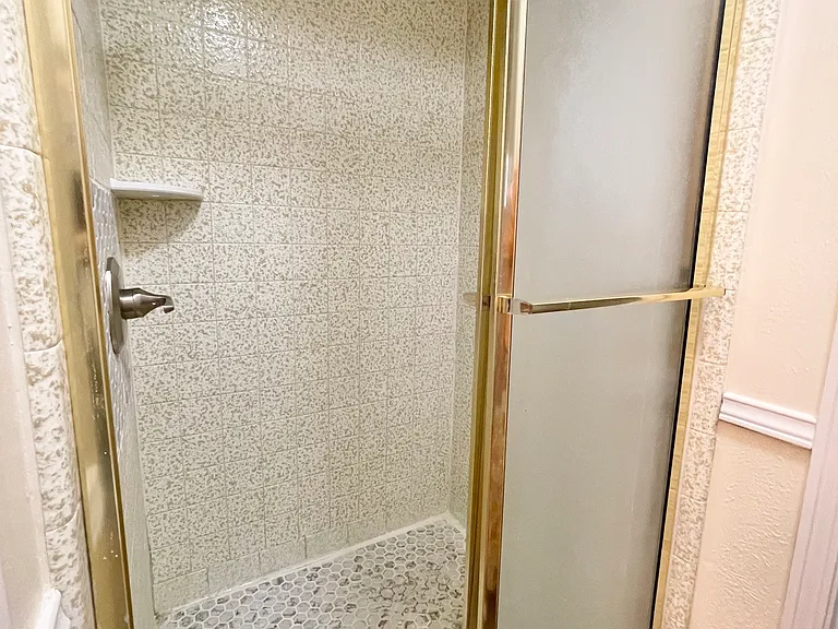 Primary Shower