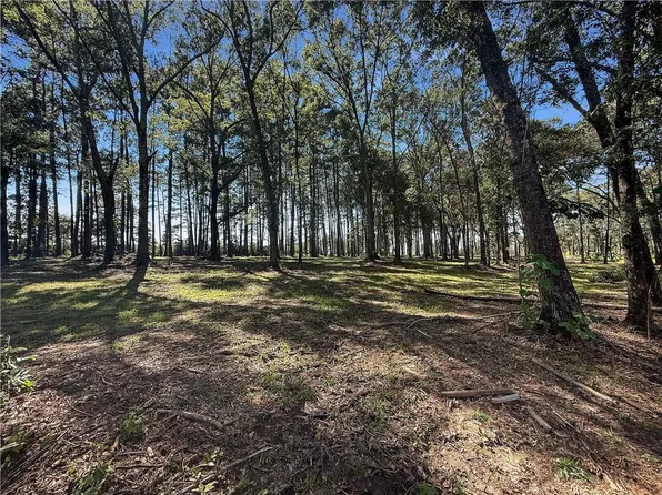 LOT 1 Highway 16, Franklinton, LA 70438