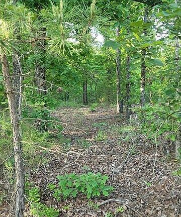 4th image of 000 County Road 2710