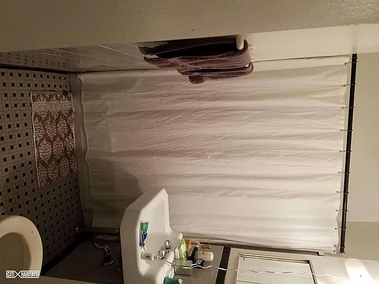 Rented by Citi Habitats | media 15