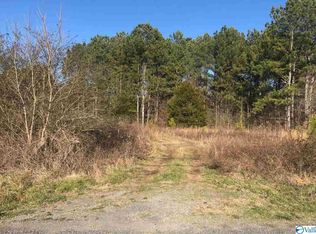 4 04 Junkins Rd, Guntersville, AL 35976