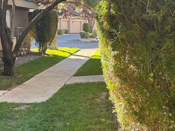 Walkway from street to front door to the right.