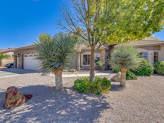 Mature Front Landscaping