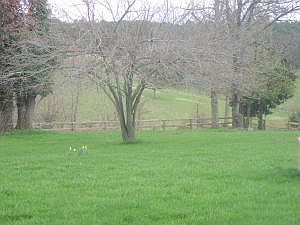 5th image of 2650 County Road Kyles Lndg