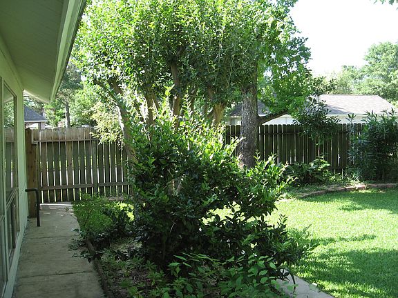 lots of flowers at different times of year