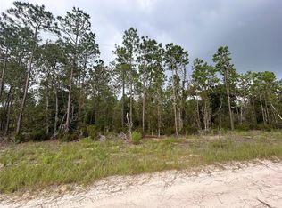 NE 131st Ct LOT 4, Williston, FL 32696