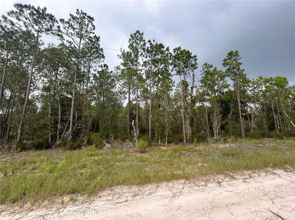 NE 131st Ct Lot 4, Williston, FL 32696