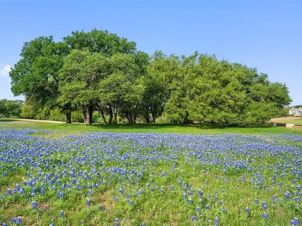 27132 Founders Pl, Spicewood, TX 78669