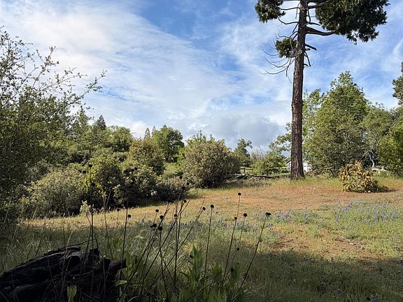 4th image of 29 Manzanita Dr