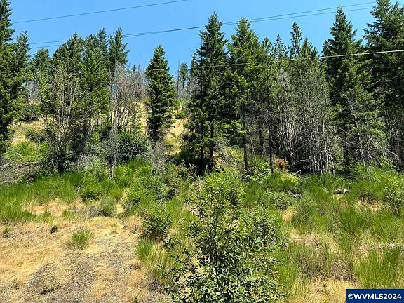 4th image of Tl 1600 North Santiam Hwy SE