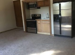 50 Sundance Cir, Nederland, CO 80466