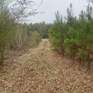 908 Wpa Rd, Mansfield, LA, 71052