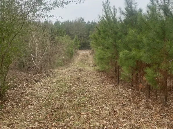 908 Wpa Rd, Mansfield, LA 71052