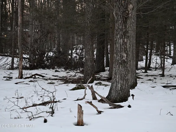 0 Broken Ski Rd, Henryville, PA 18332