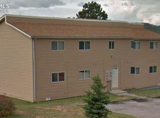 402 Mountain View Pl #D, Woodland Park, CO 80863