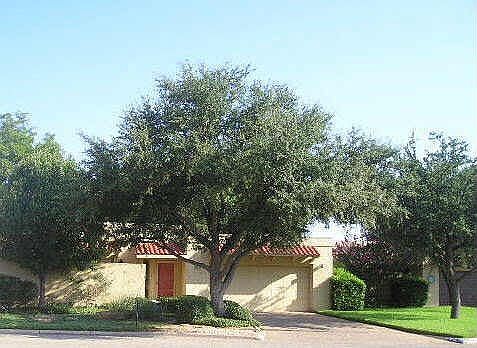 1st image of 41 Tamarisk Cir
