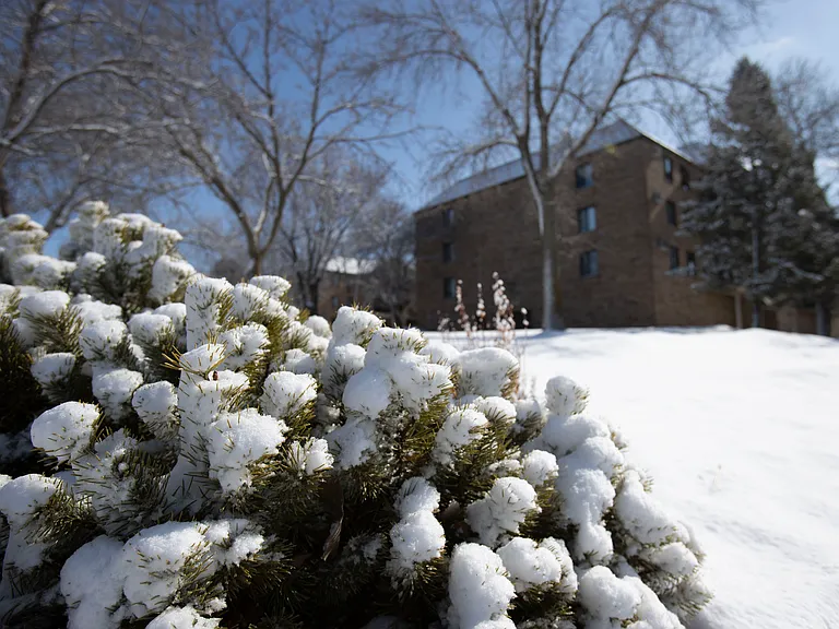 Eagle Ridge Apartments — Photo 54