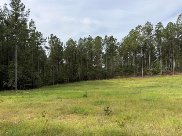 New Holland Rd, Wagener, SC 29164