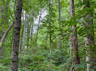 11 Charles Sondheimer Rd, Franklin, NC 28734