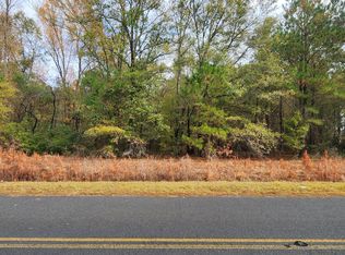 LOT 1 William Brunson Rd, Summerton, SC 29148