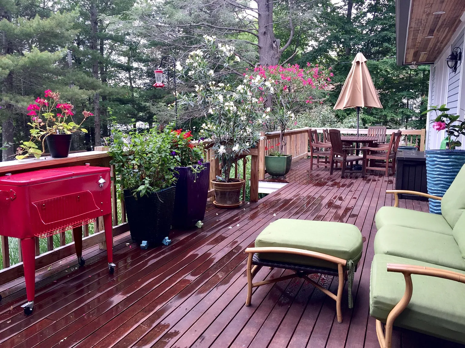 51 Shady Ln — Photo 4