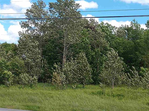 3rd image of 6692 State Highway 37