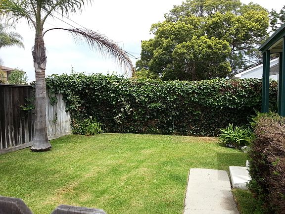 Front yard