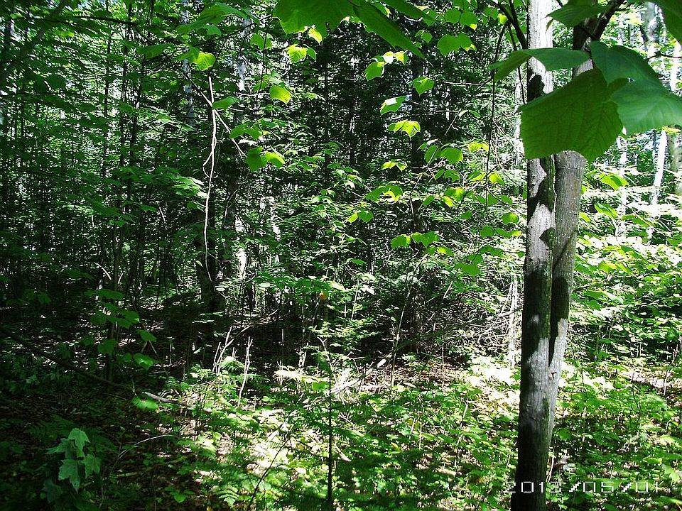 1st image of Birchwood Drive Two Lots #45