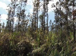 Road 2 LOT 2786, Mountain View, HI 96771