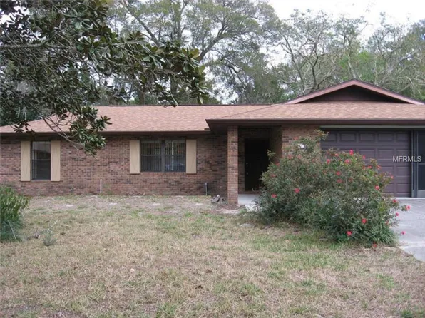 450 Ferrin Ct, Orange City, FL 32763