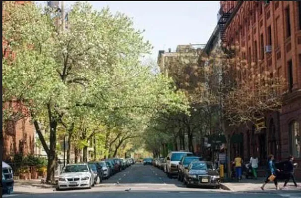 Rented by Living New York | media 7