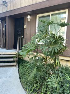 7301 Lennox Ave, Van Nuys, CA, 91405