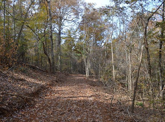 5th image of 4500 County Road 11