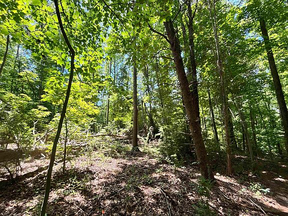 5th image of 0 Borders Rd