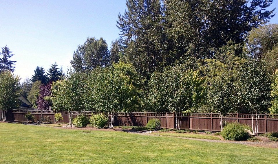 2nd image of 1210 100th Ct SE #12