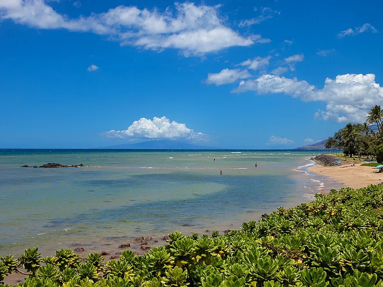 44 Kanani Rd #4-204 — Photo 34