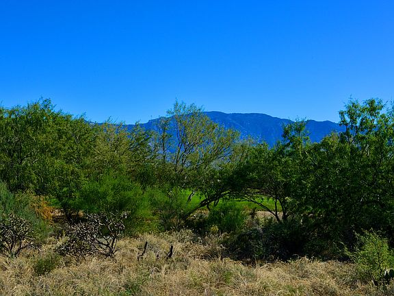 2nd image of 14352 N Giant Saguaro Pl #41