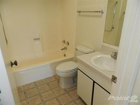 3rd image of 159 W Calle Del Ano