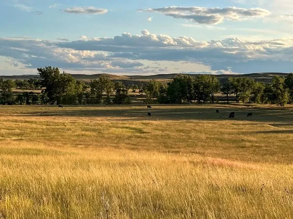 1 Elevator Dr, Ismay, MT 59336