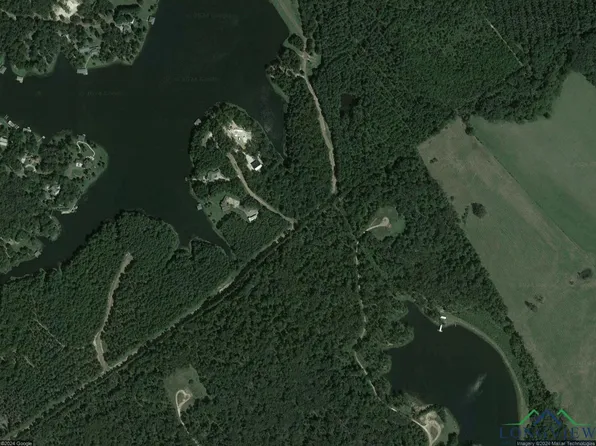 Tbd Circle Dr, Beckville, TX 75631