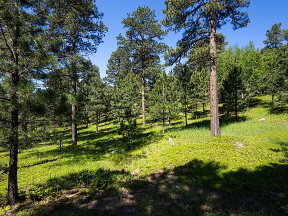 2nd image of LOT 18 Other