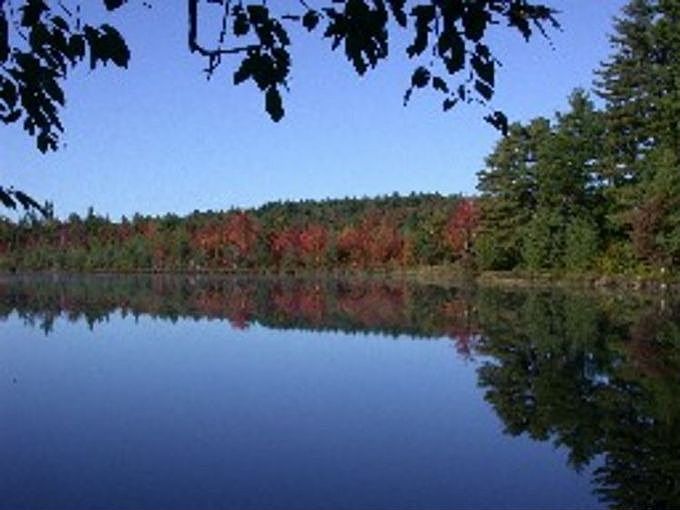 Dodge Pond Looking South