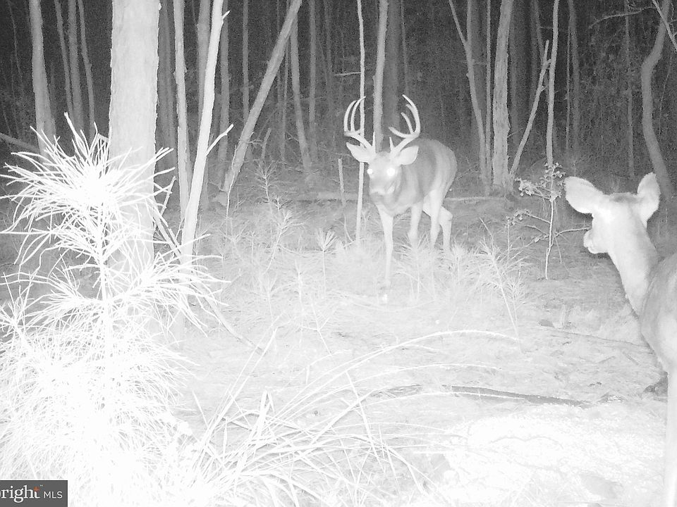 Lower Hl, Westover, MD 21871 Zillow