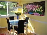 sun lit kitchen