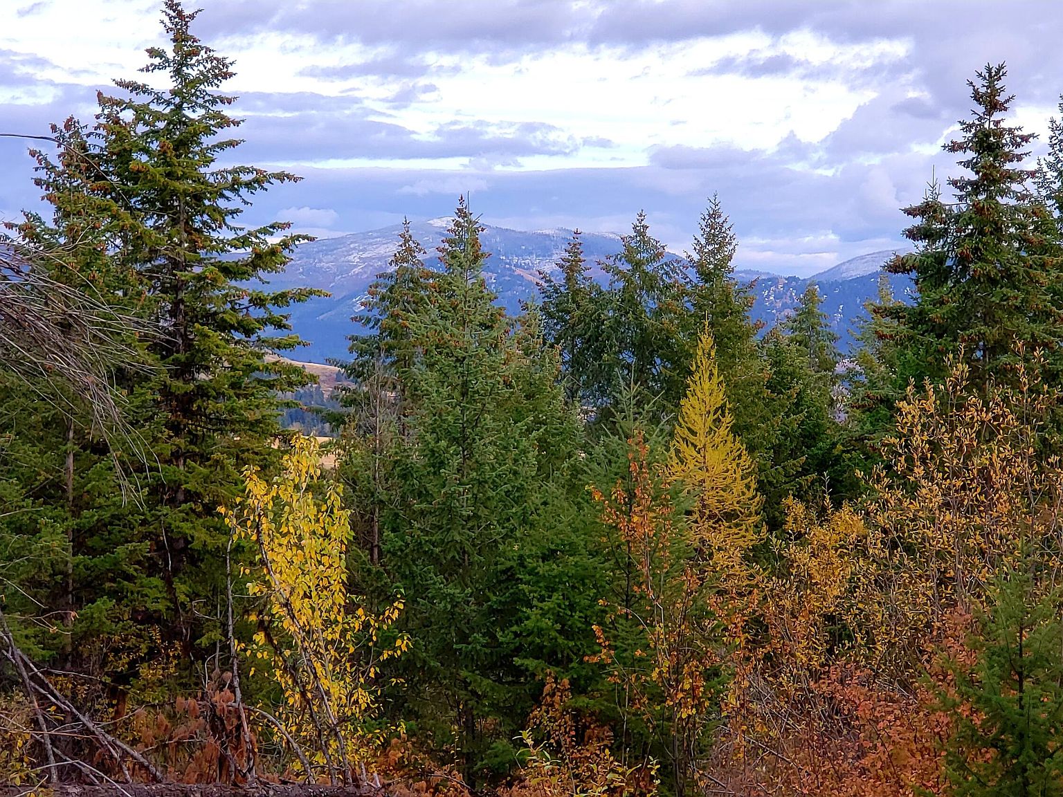 9X Rockabye Ln, Curlew, WA 99118 MLS 42367 Zillow