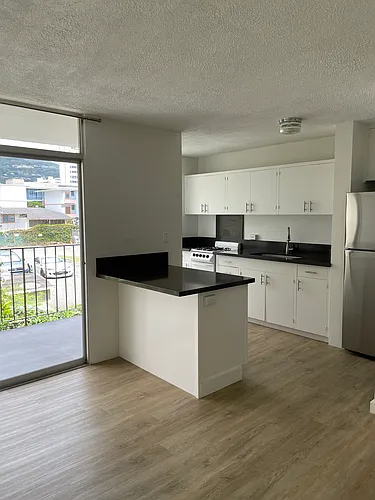 1509 Liholiho St #203 Photo 1