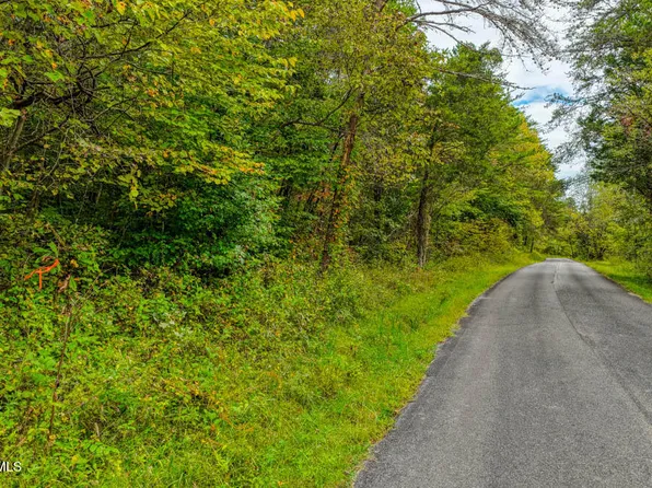 LOT 2 Butcher Valley Rd, Rogersville, TN 37857