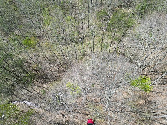 2nd image of 9999 Mud Creek Lot Rd