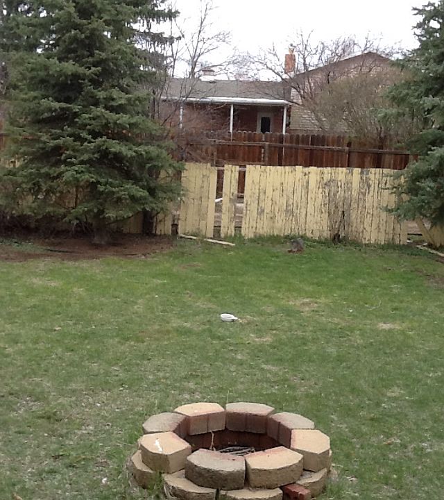 2nd image of 1102 Arapaho St